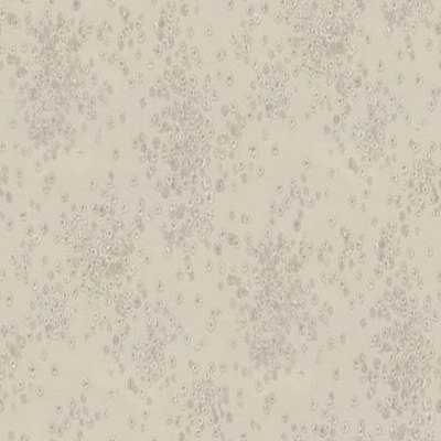 7282-01-раппорт (1)