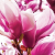 2024-08-24_15-50-41_11zon 2024-08-24_15-50-41_11zon