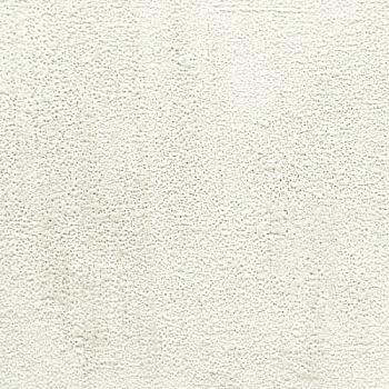 13919.970_11zon